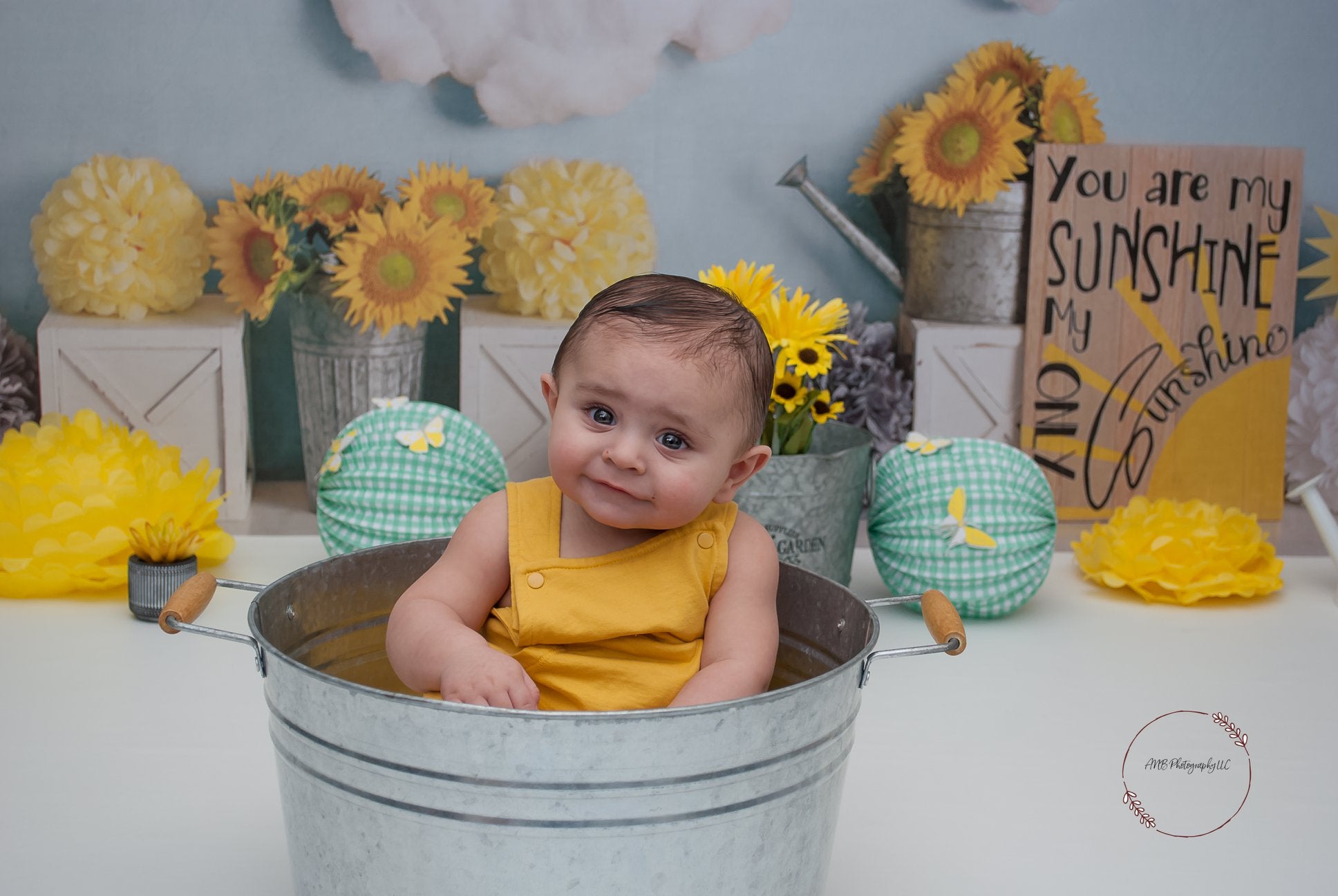 Kate Summer Sunflower Sunshine Backdrop Designed By Mandy Ringe Photography -UK