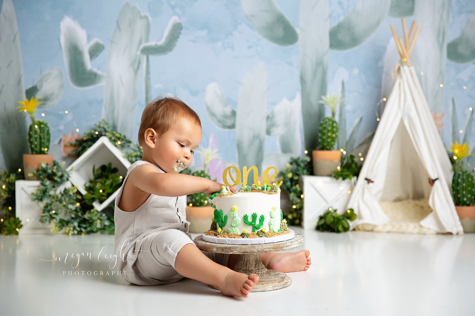 Kate Cactus Spring Children Birthday Backdrop Designed by Megan Leigh Photography -UK