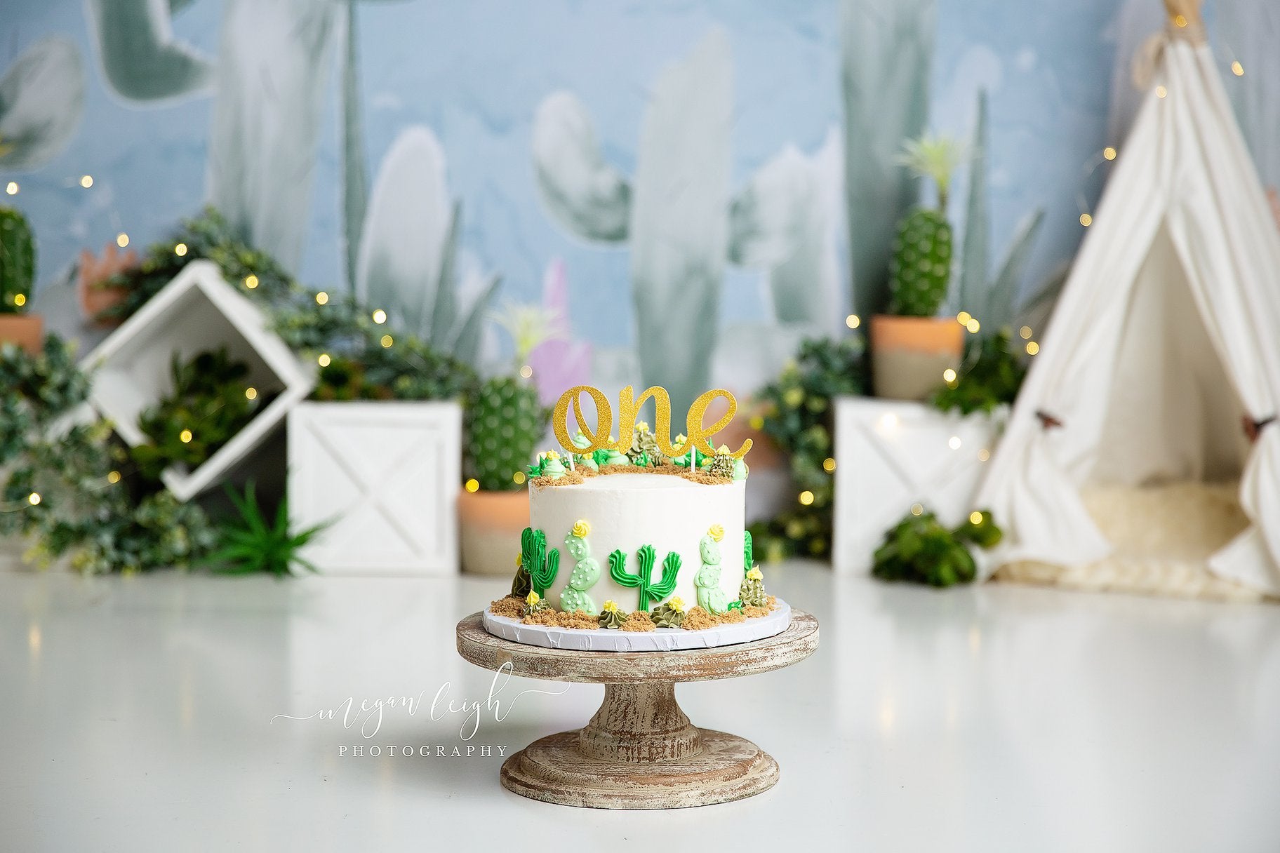 Kate Cactus Spring Children Birthday Backdrop Designed by Megan Leigh Photography -UK