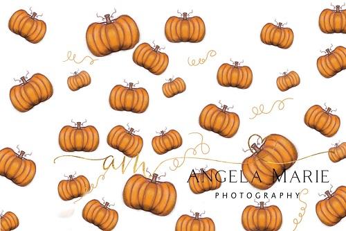 Kate Fall/Thanksgiving Pumpkins Backdrop Designed By Angela Marie Photography -UK