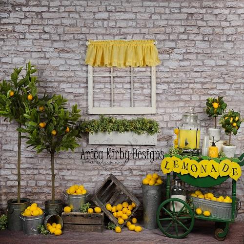 Kate Summer Lemonade Stand Backdrop designed by Arica Kirby -UK