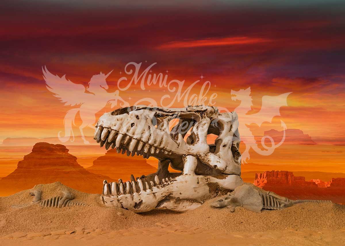 Kate Dino Skull Skeleton Desert Paleontologist Scientist Boy Backdrop Designed by Mini MakeBelieve -UK