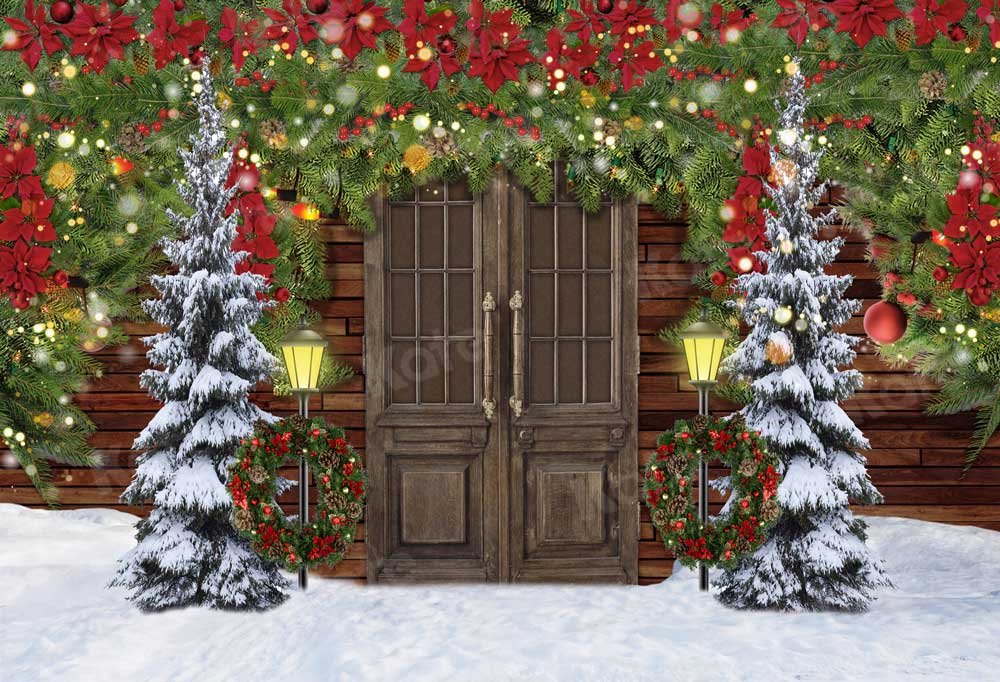 Kate Christmas Winter Snowy Door Backdrop for Photography -UK