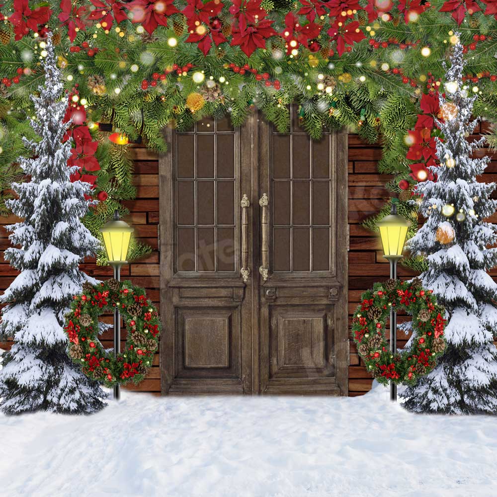 Kate Christmas Winter Snowy Door Backdrop for Photography -UK