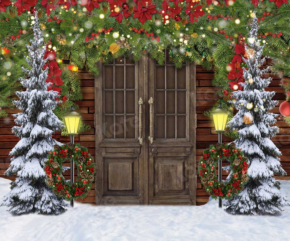 Kate Christmas Winter Snowy Door Backdrop for Photography -UK
