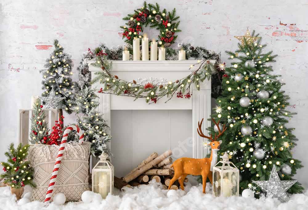 Kate Christmas Boho Fireplace Elk Backdrop Designed by Emetselch -UK