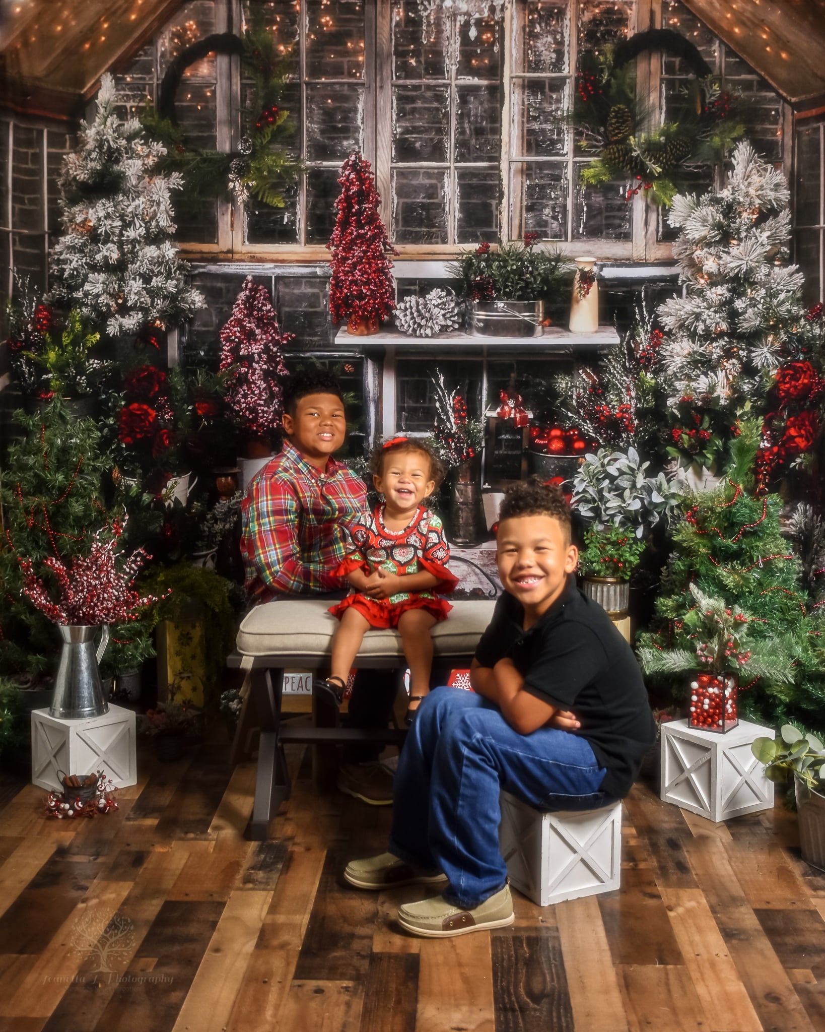 Kate Christmas Tree Wood House Winter Backdrops Designed by Arica Kirby -UK