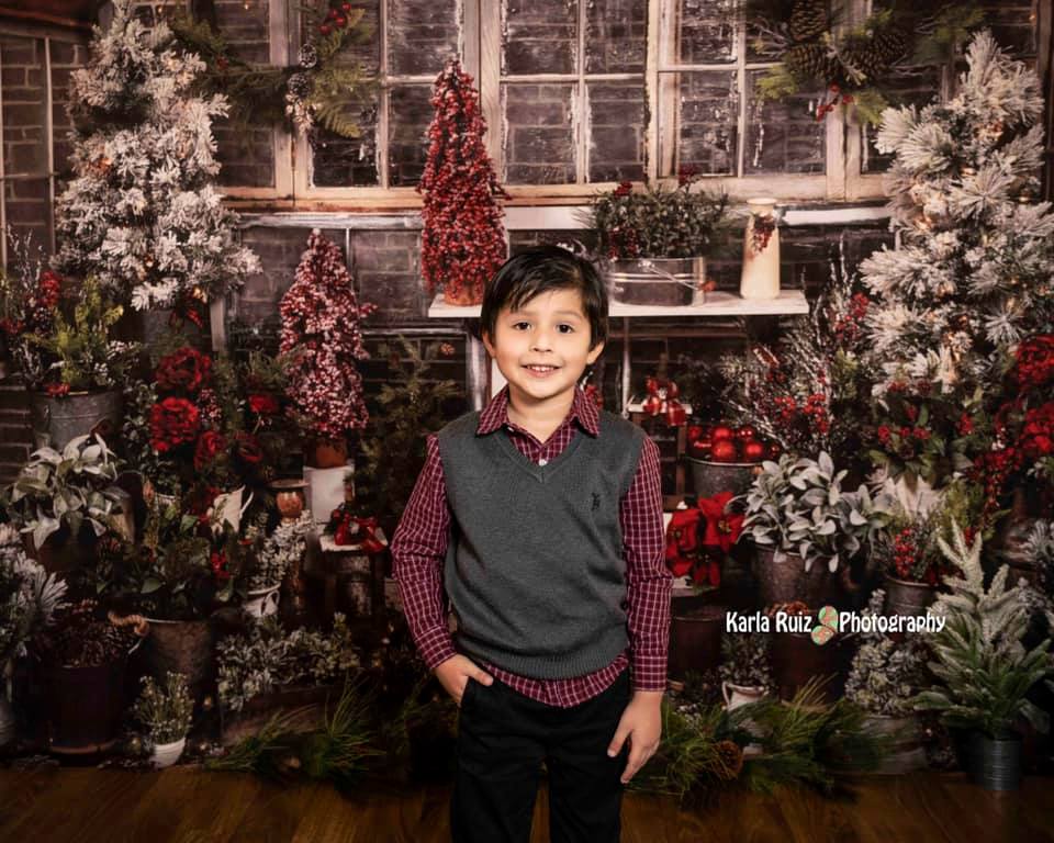 Kate Christmas Tree Wood House Winter Backdrops Designed by Arica Kirby -UK