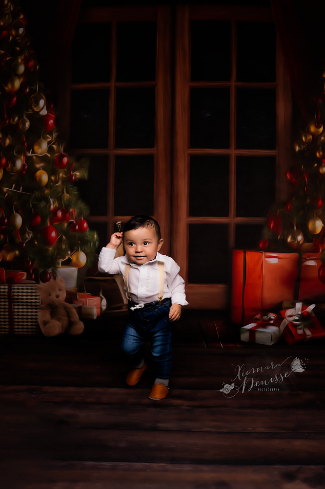 Kate Christmas Eve Night Window Backdrop for Photography -UK