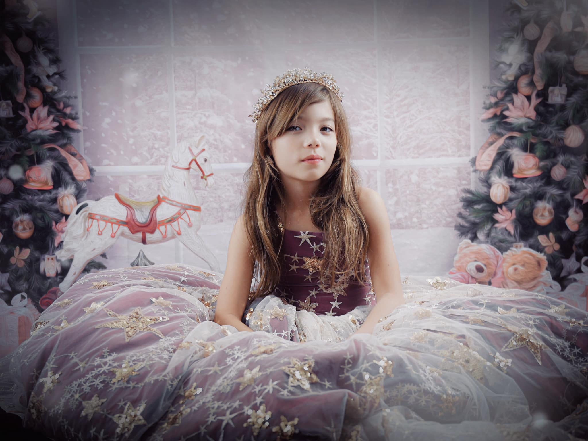 Kate Christmas Window Backdrop for Princess Girls Photography -UK