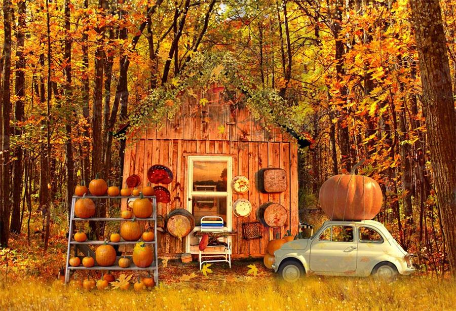 Kate Autumn Harvast Pumpkins House Backdrop for Photography -UK