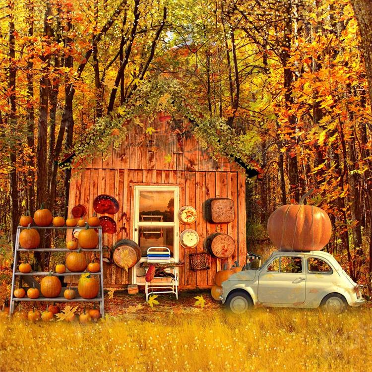 Kate Autumn Harvast Pumpkins House Backdrop for Photography -UK