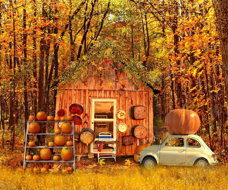 Kate Autumn Harvast Pumpkins House Backdrop for Photography -UK