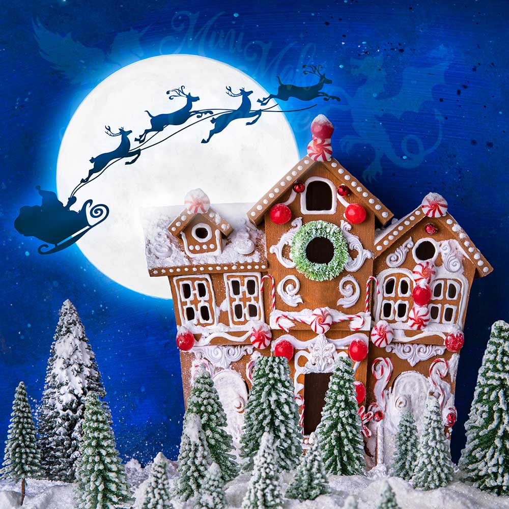 Kate Christmas Gingerbread House Santa&Reindeers Backdrop Designed by Mini MakeBelieve -UK