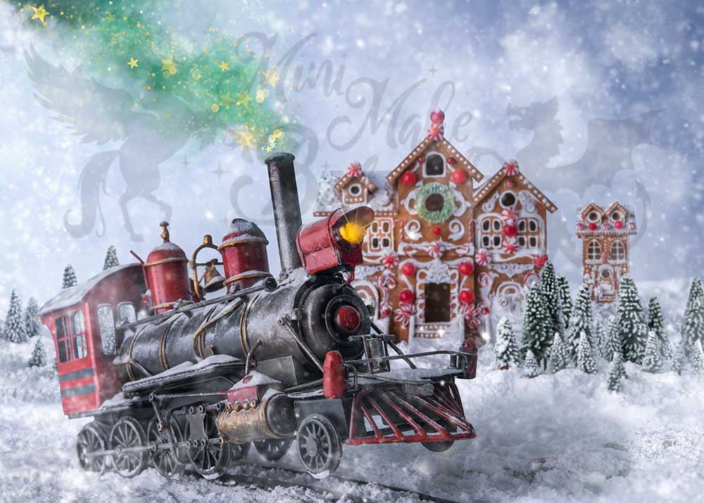Kate Christmas Snowflake Train Backdrop Designed by Mini MakeBelieve -UK