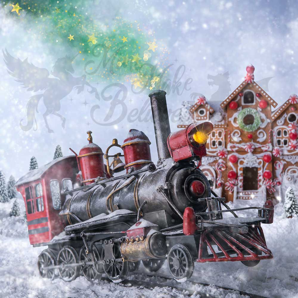 Kate Christmas Snowflake Train Backdrop Designed by Mini MakeBelieve -UK