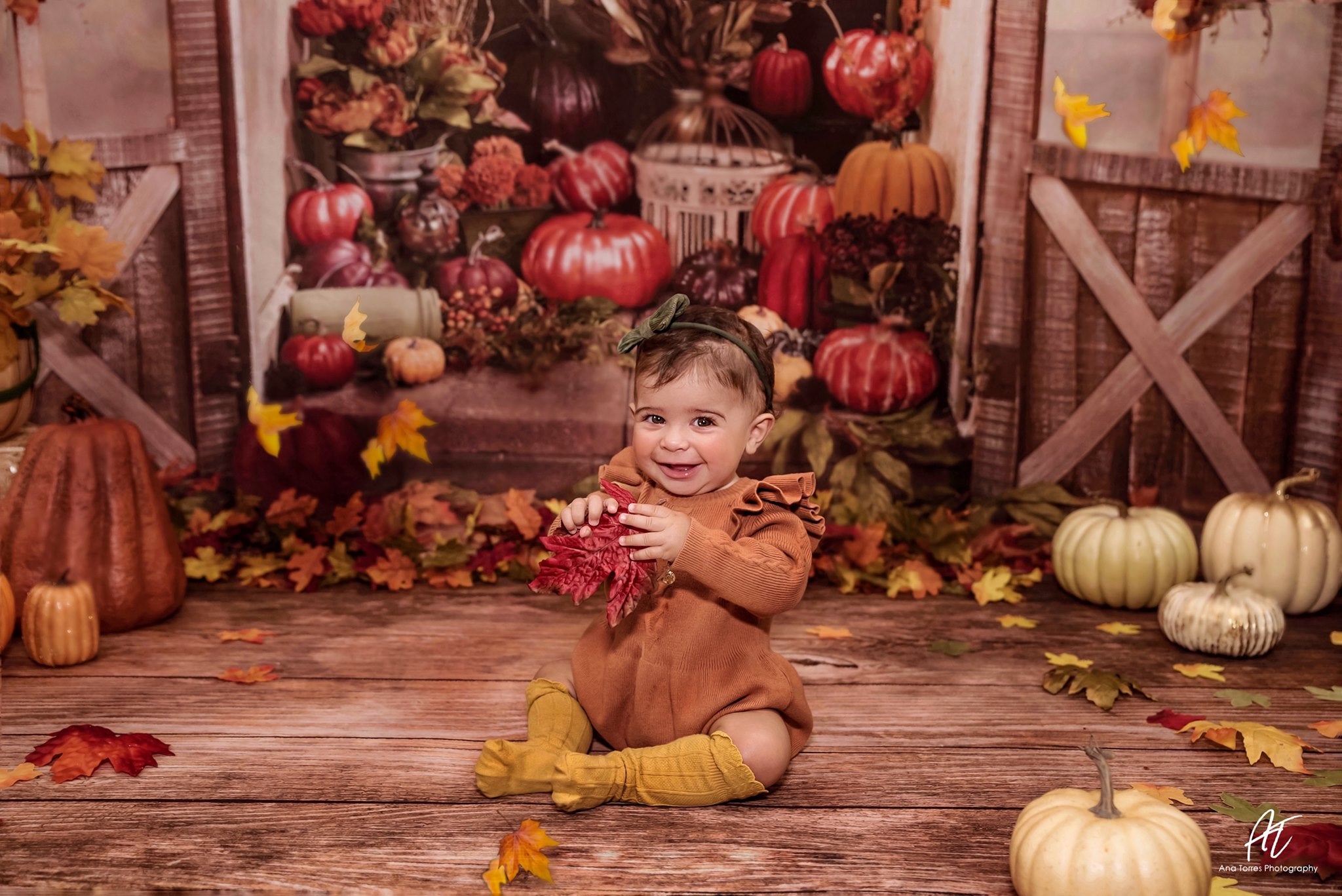 Kate Autumn Pumpkins Greenhouse Backdrop designed by Arica Kirby -UK