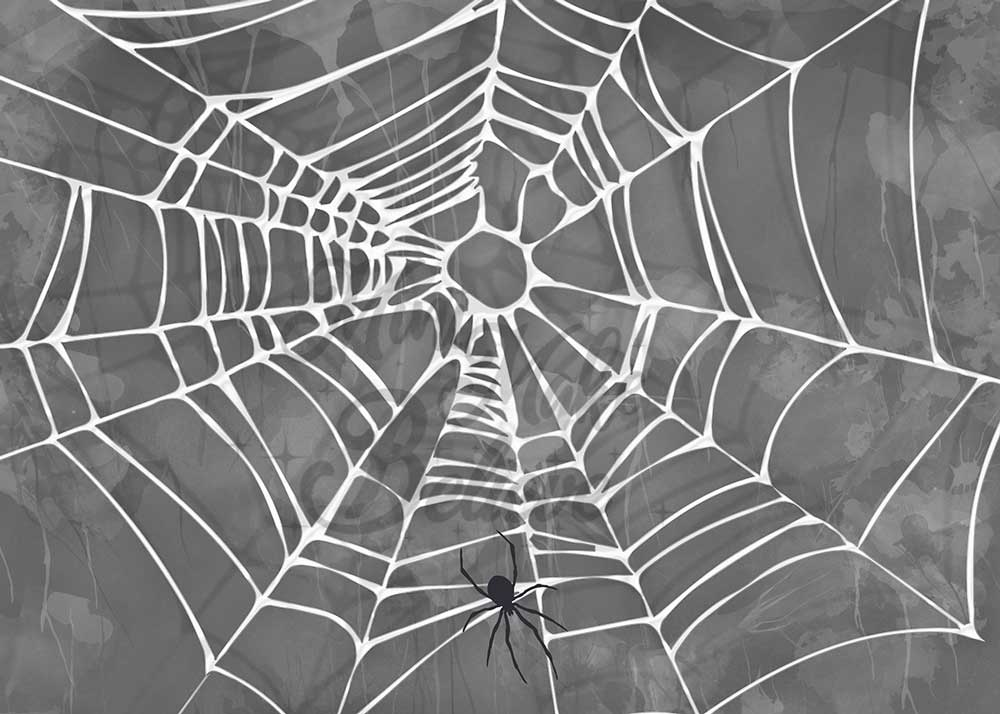Kate Halloween Spooky Spider Web Backdrop Designed by Mini MakeBelieve -UK