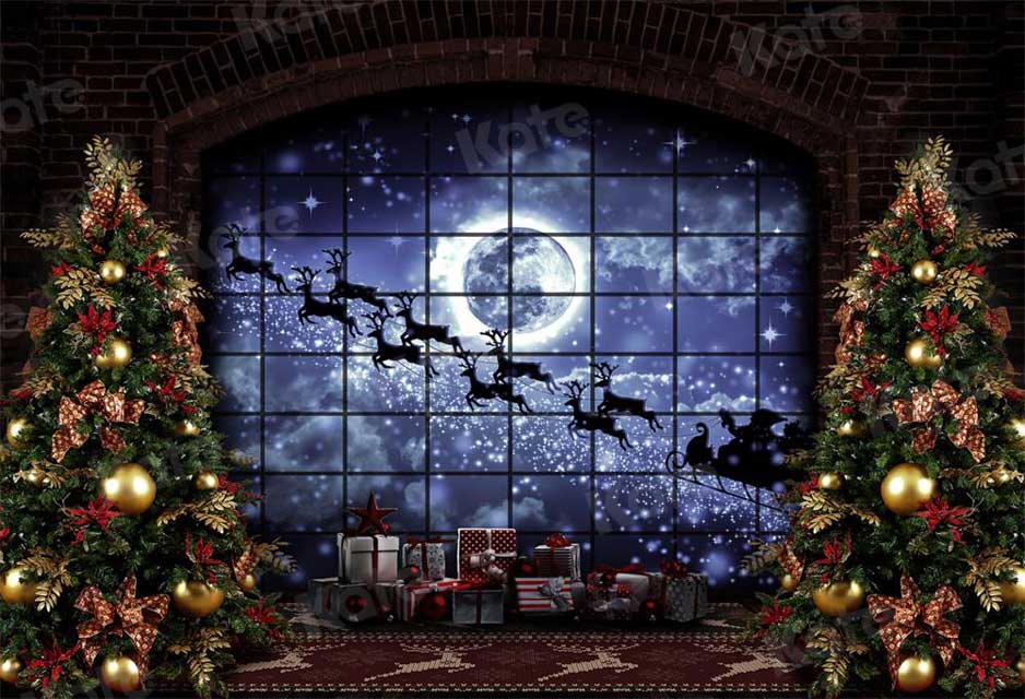 Kate Christmas Windows Sleigh Backdrop Elk for Photography -UK