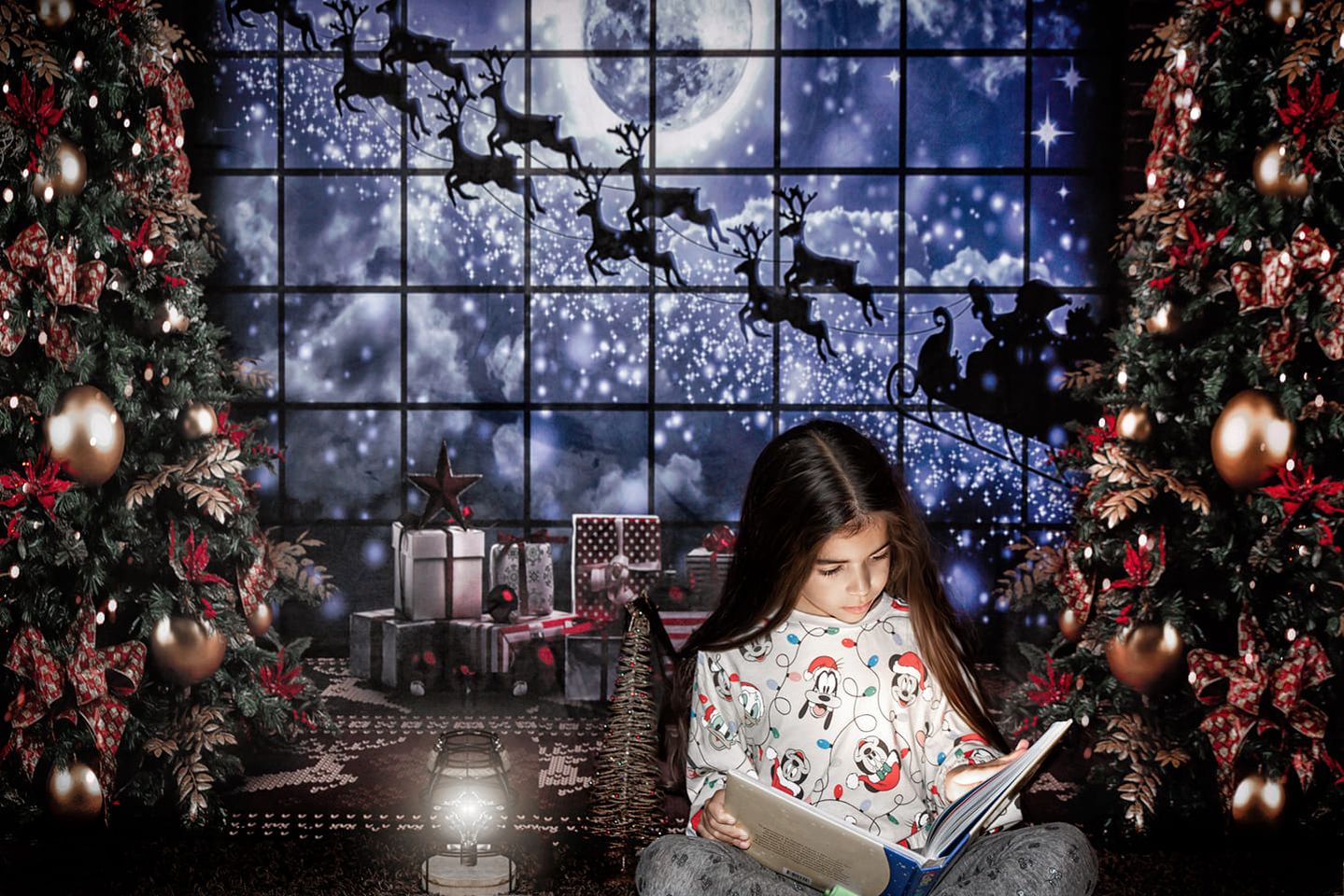 Kate Christmas Windows Sleigh Backdrop Elk for Photography -UK