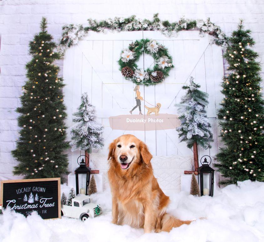 Kate Christmas Tree Backdrop Barn Door Designed by Emetselch -UK