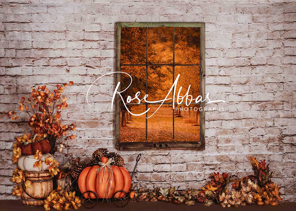 Kate Autumn Window View Pumpkin Backdrop Designed By Rose Abbas -UK