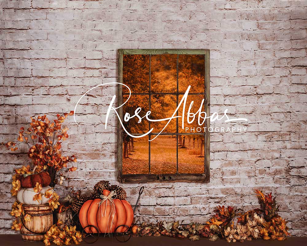 Kate Autumn Window View Pumpkin Backdrop Designed By Rose Abbas -UK