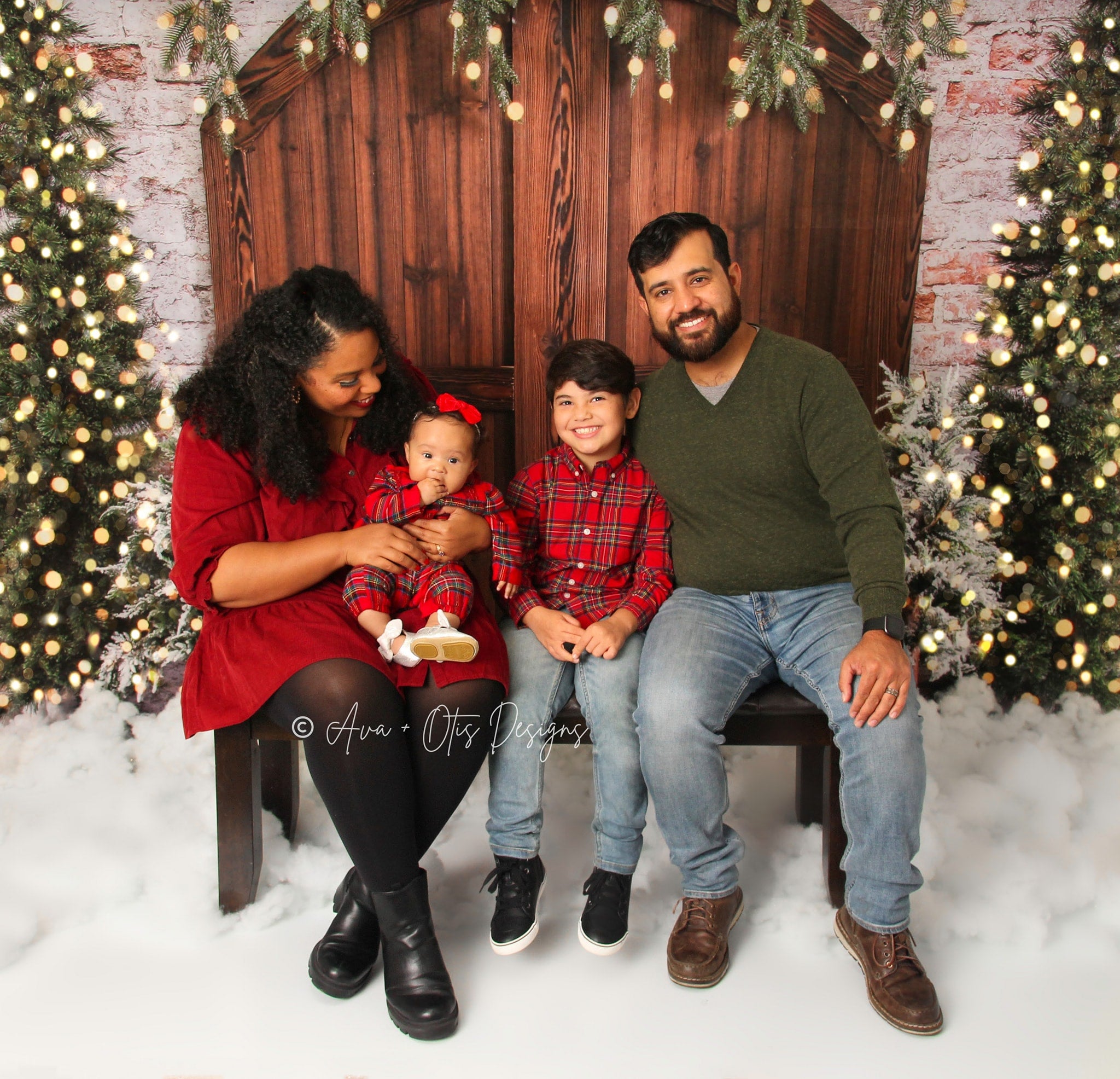 Kate Christmas Wooden Barn Door Backdrop Designed by Emetselch -UK