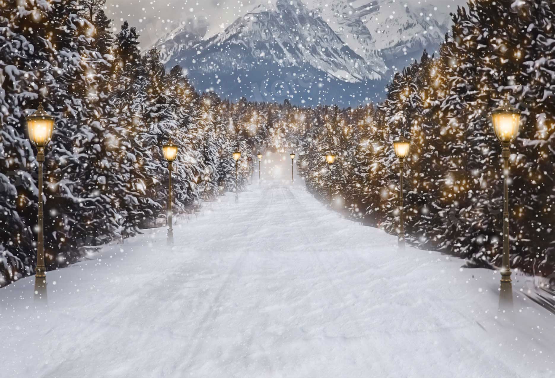 Kate Winter Snowy Christmas Trees Road Backdrop for Photography -UK