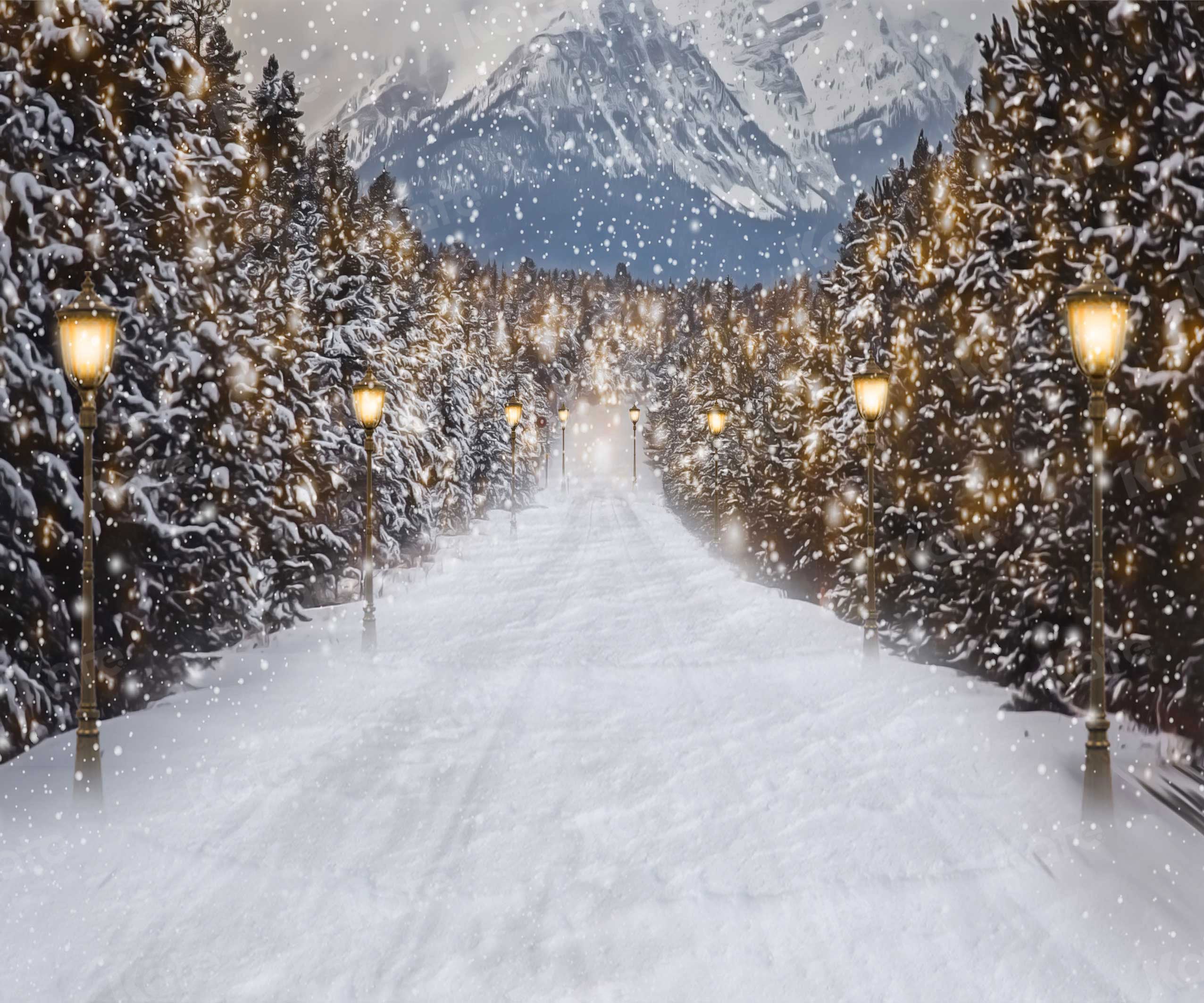 Kate Winter Snowy Christmas Trees Road Backdrop for Photography -UK