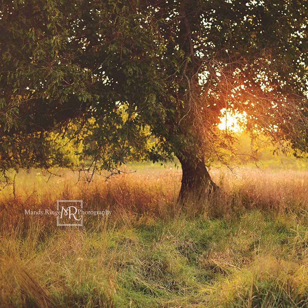 Kate Tree at Sunset Backdrop Designed by Mandy Ringe Photography -UK