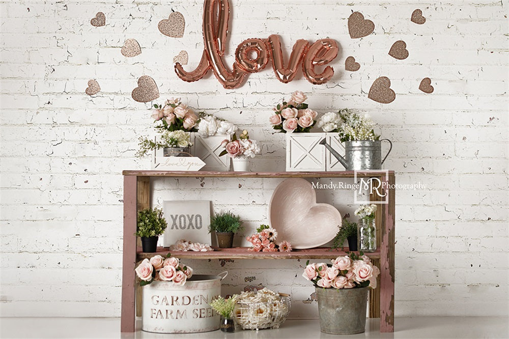 Kate Valentine's Day/Spring Rose Backdrop Designed by Mandy Ringe Photography