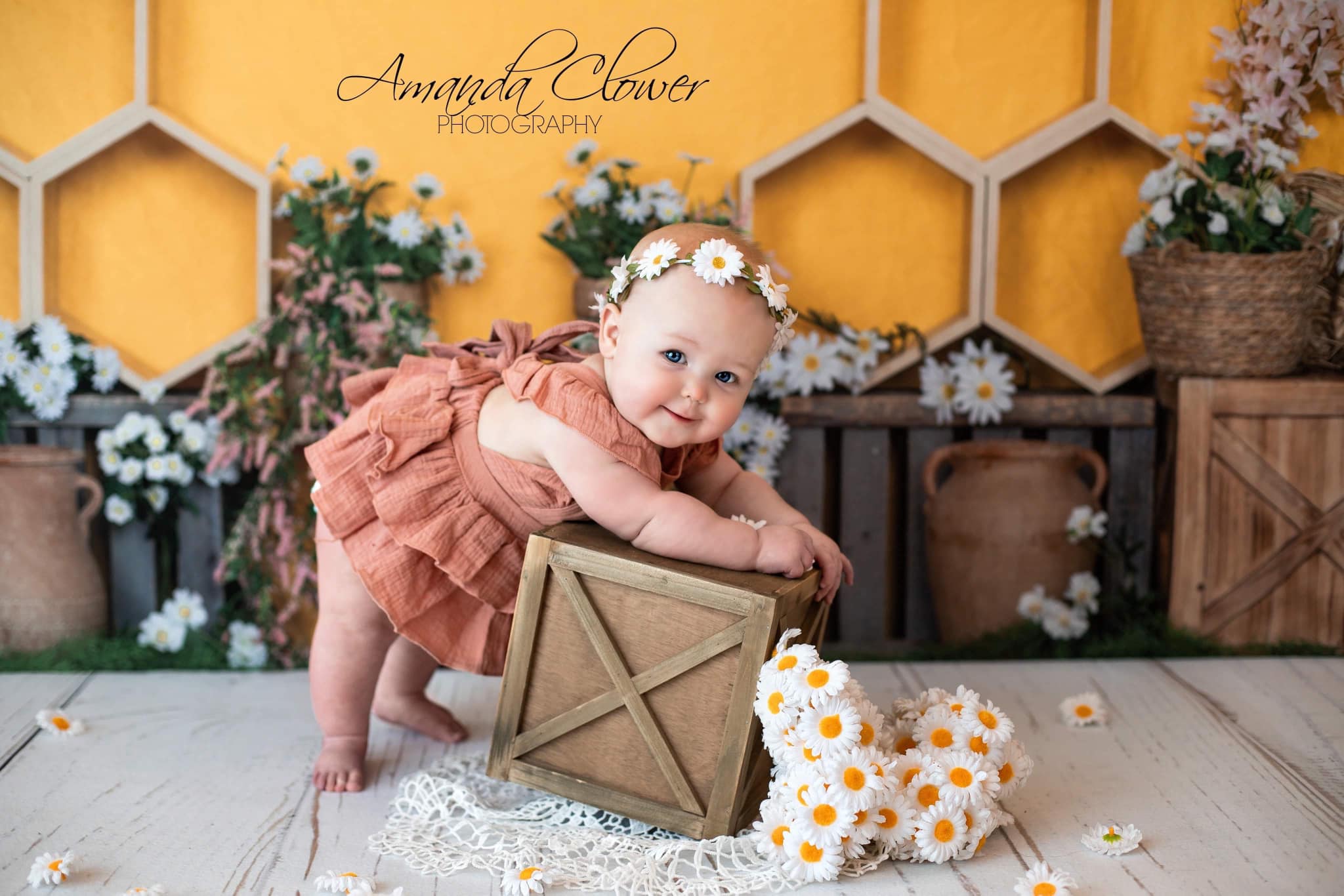 Kate Honeycomb Yellow Spring Backdrop Designed by Emetselch -UK