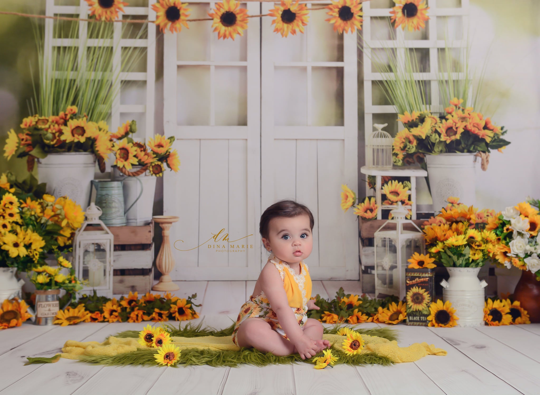 Kate Sunflowers Window Summer Backdrop Designed by Emetselch -UK