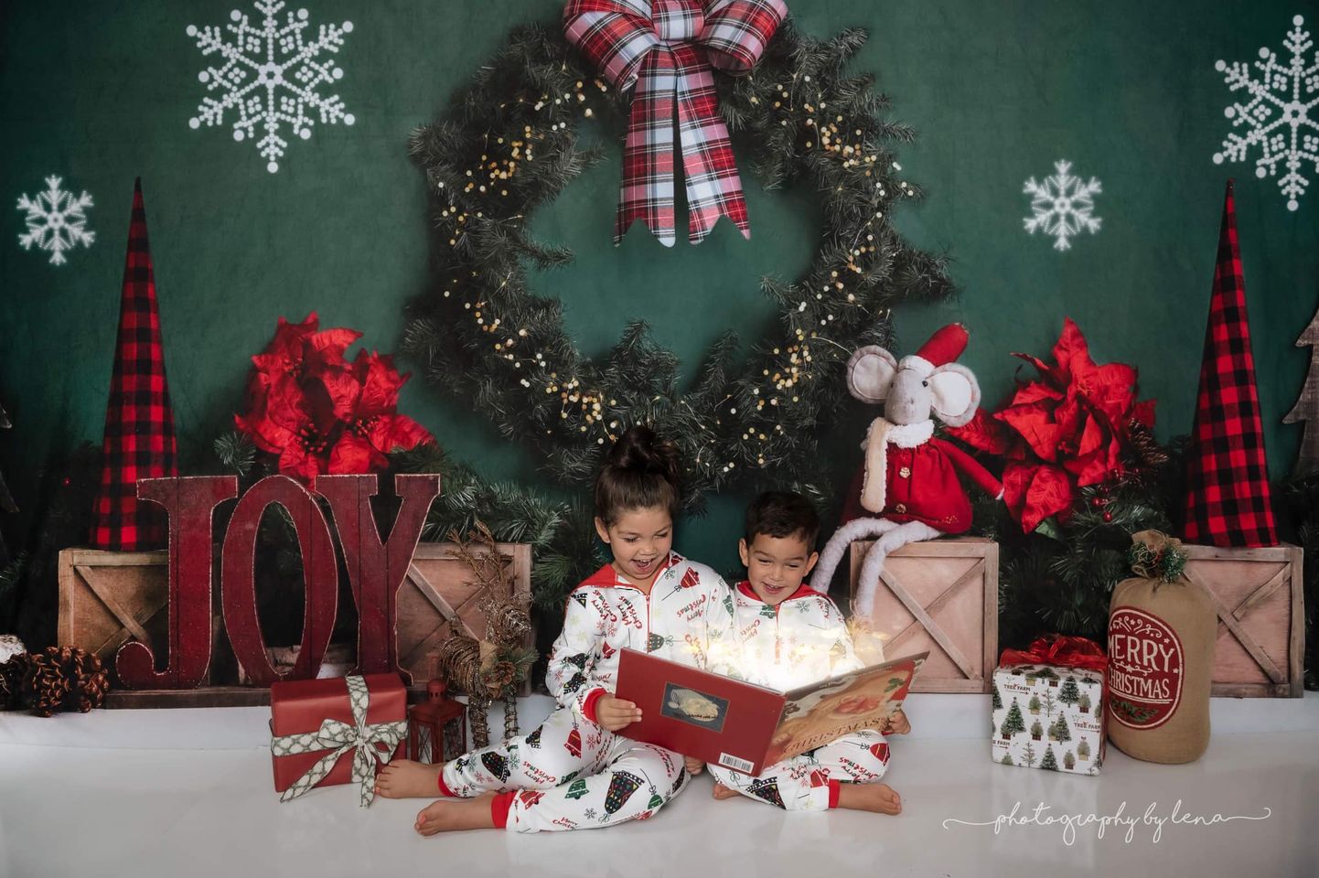 Kate Christmas Joy Backdrop Designed by Megan Leigh Photography -UK