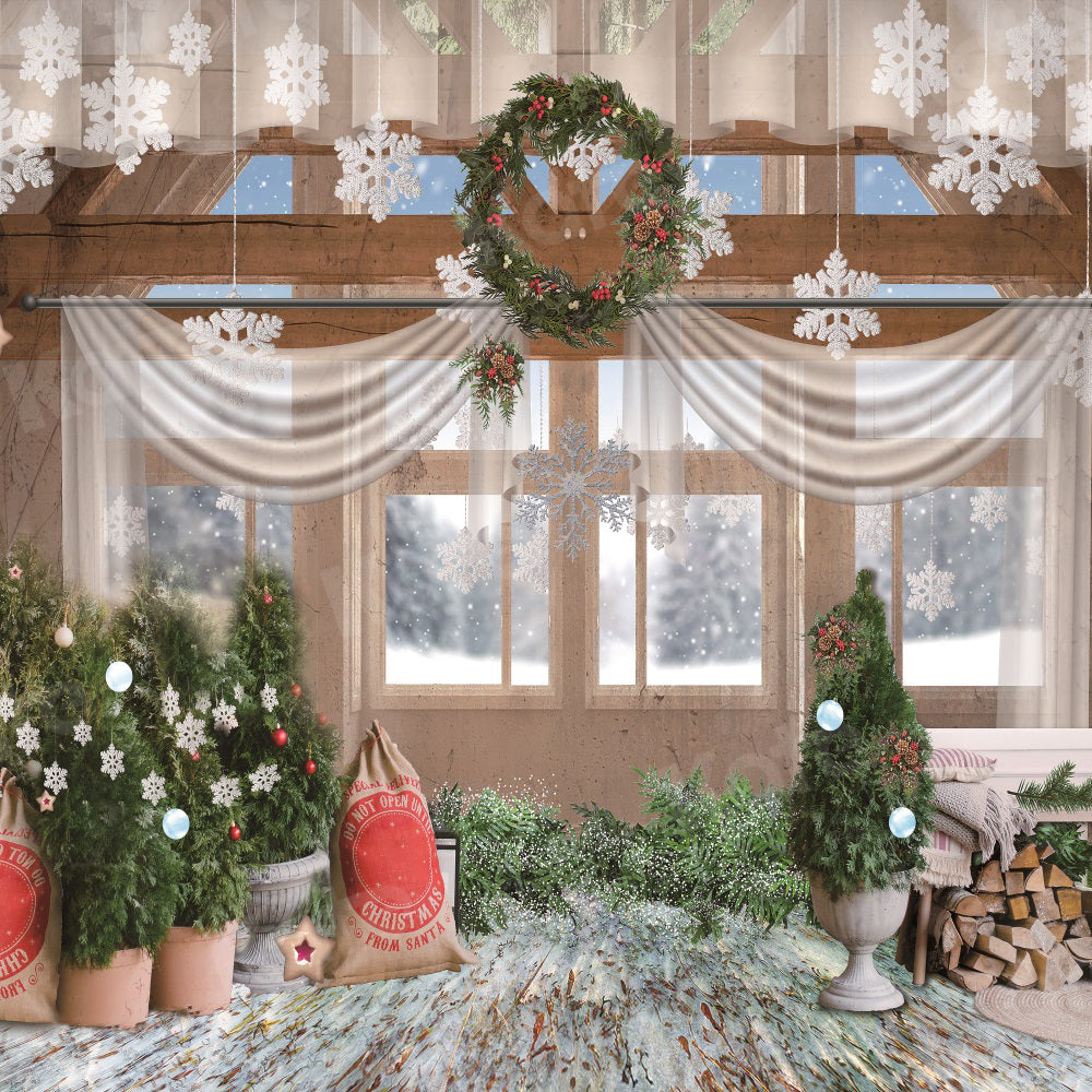 Kate Christmas Window Snow Backdrop for Photography -UK