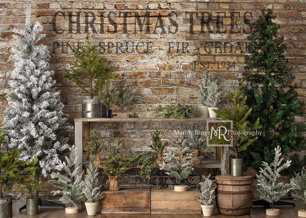 Kate Christmas Farm Fresh Tree Backdrop Designed by Mandy Ringe Photography -UK