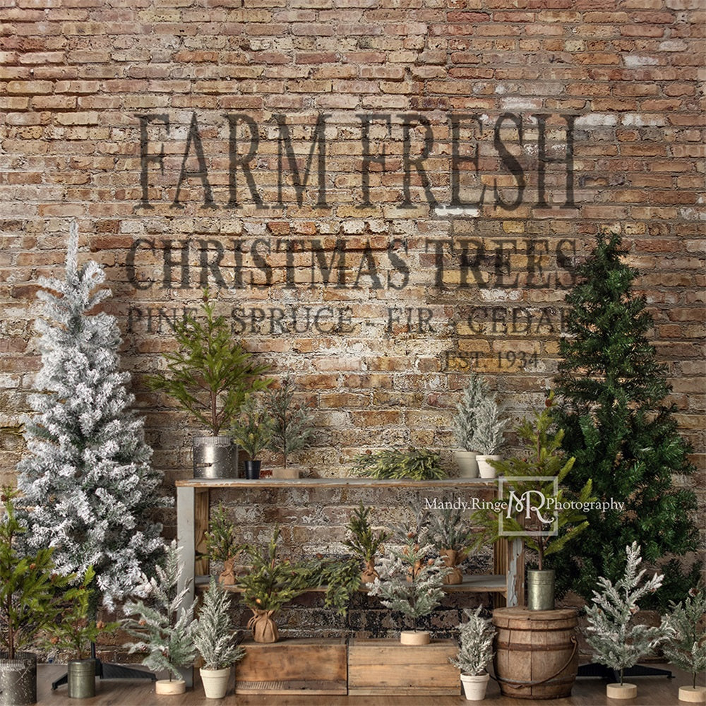 Kate Christmas Farm Fresh Tree Backdrop Designed by Mandy Ringe Photography -UK