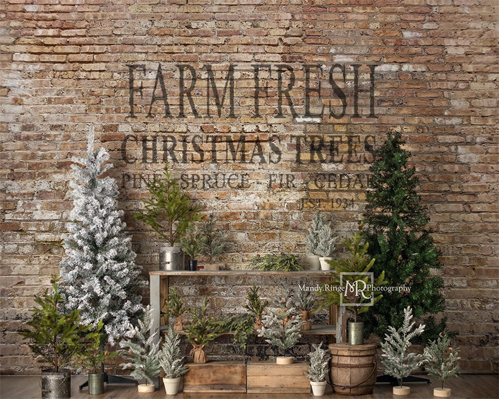 Kate Christmas Farm Fresh Tree Backdrop Designed by Mandy Ringe Photography -UK