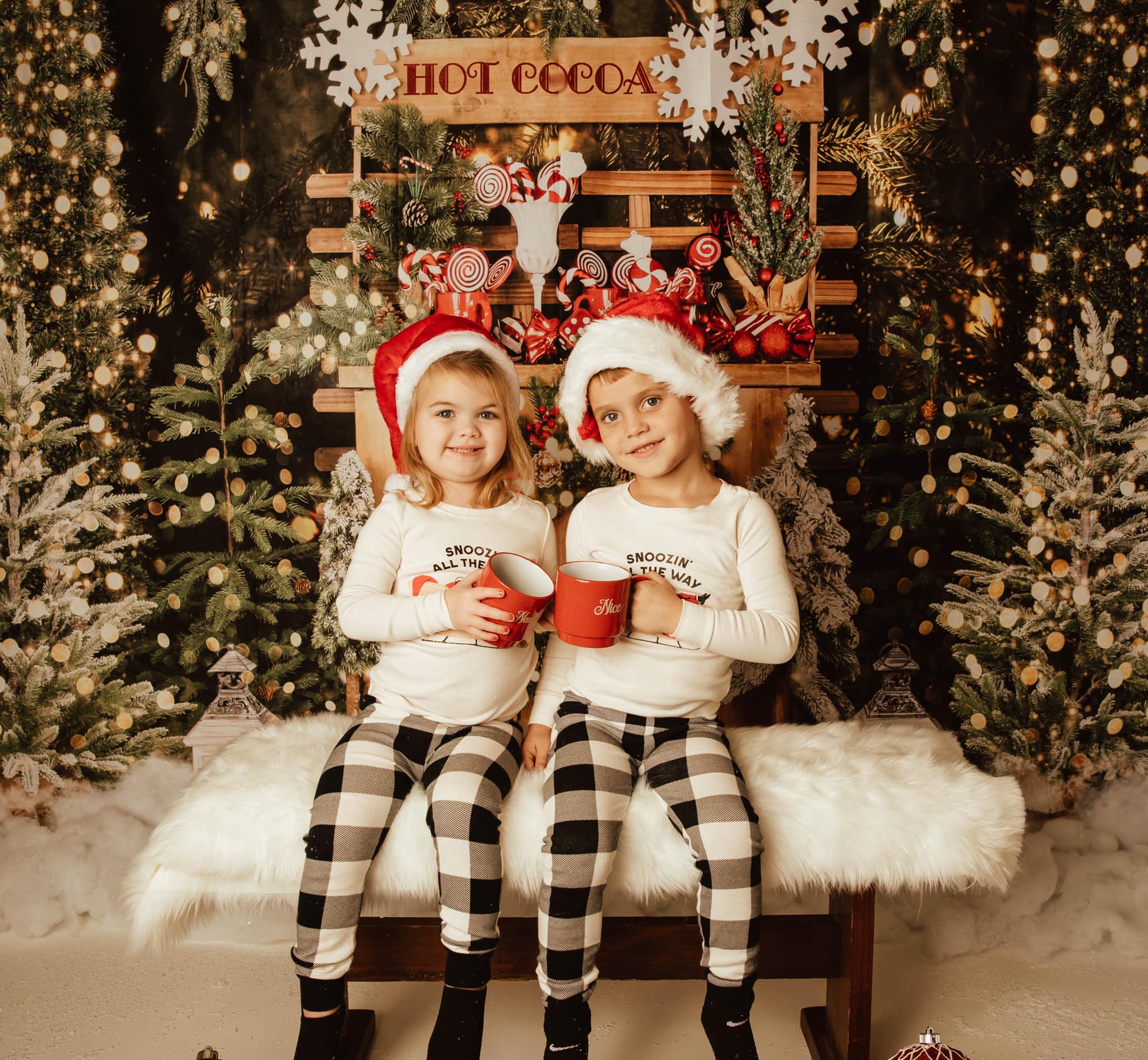 Kate Christmas Trees Hot Cocoa Night Backdrop Designed by Emetselch -UK