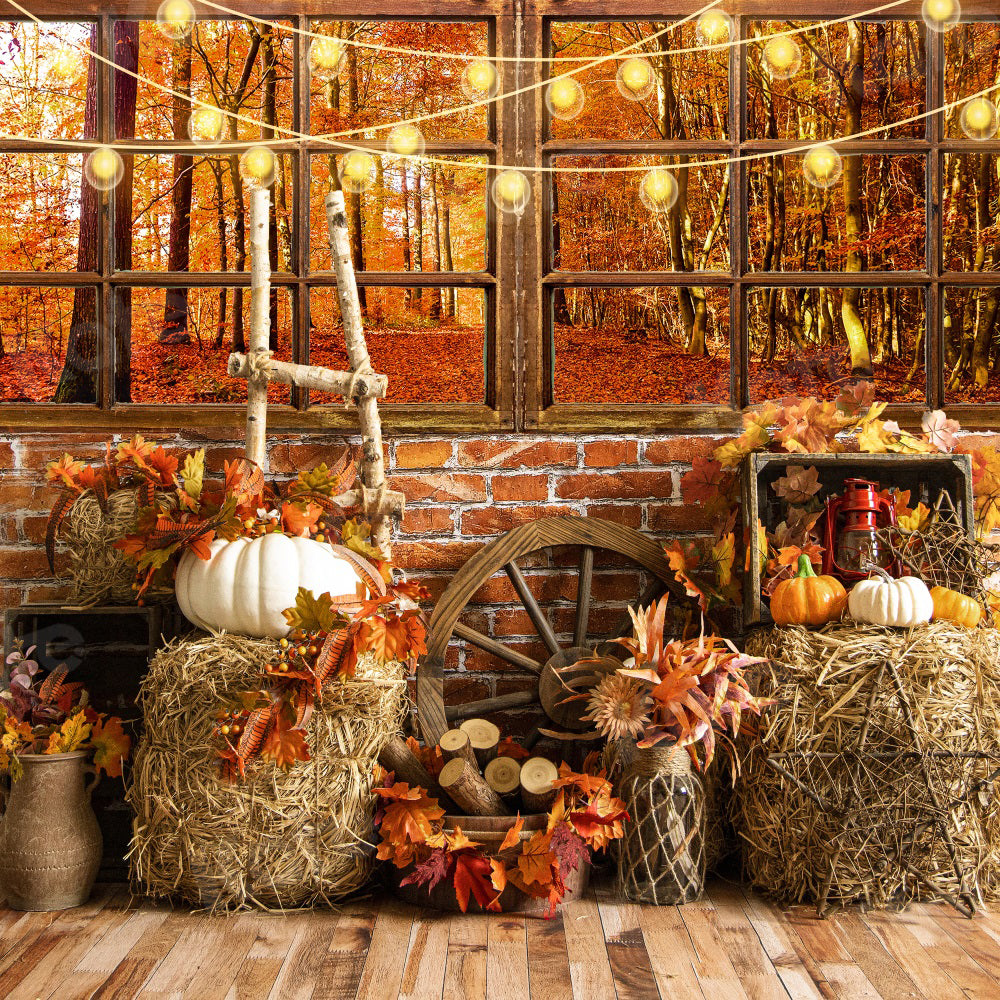 Kate Autumn Barn Pumpkins Window Leaves Backdrop for Photography -UK