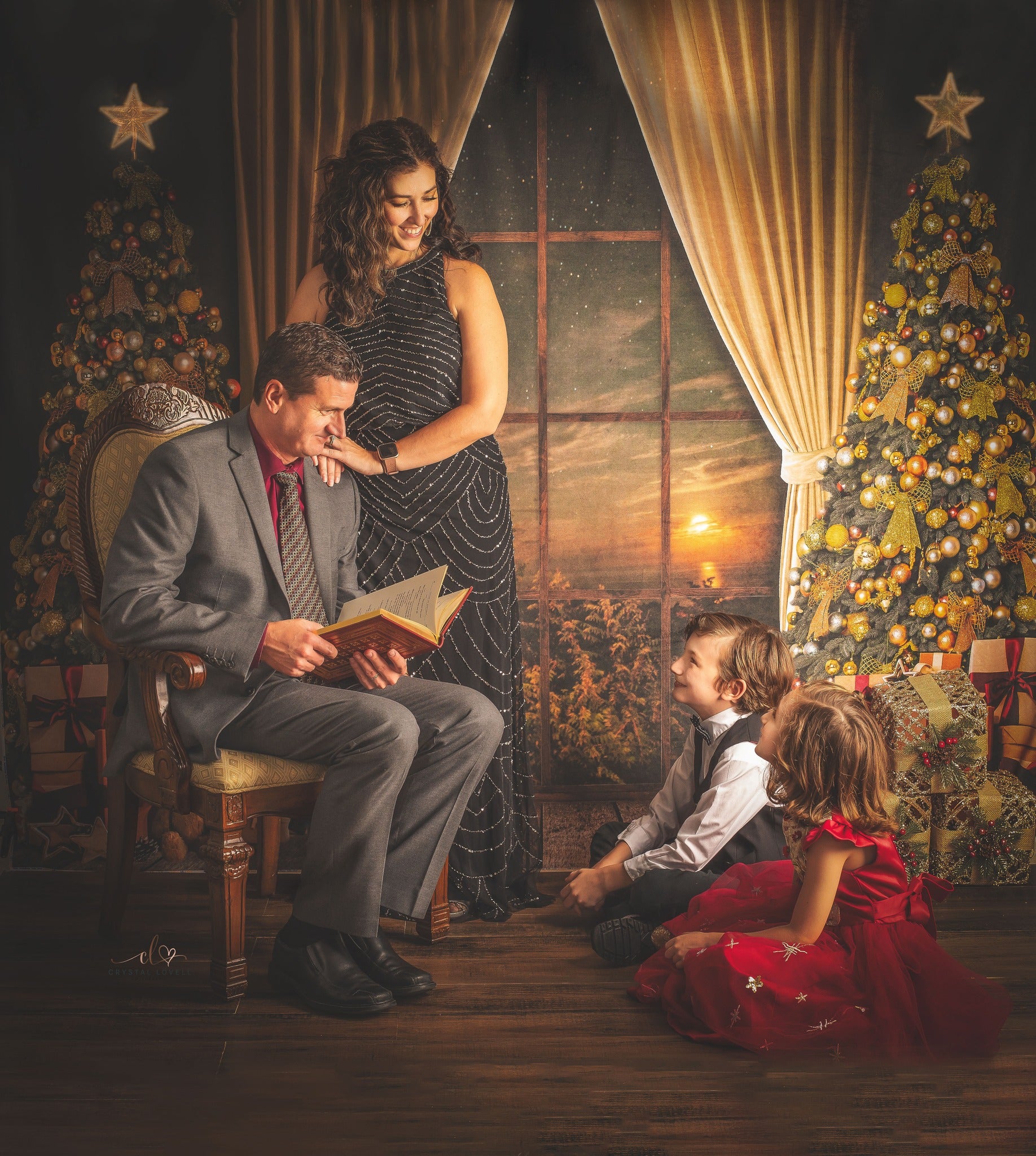 Kate Warm Christmas Trees Window Backdrop for Photography -UK