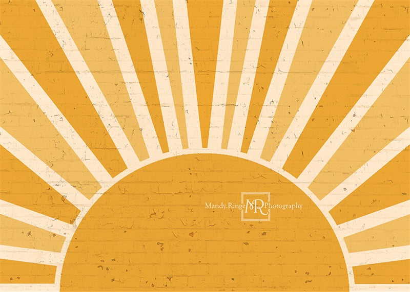Kate You are my Sunshine Brick Wall Backdrop Designed by Mandy Ringe Photography -UK