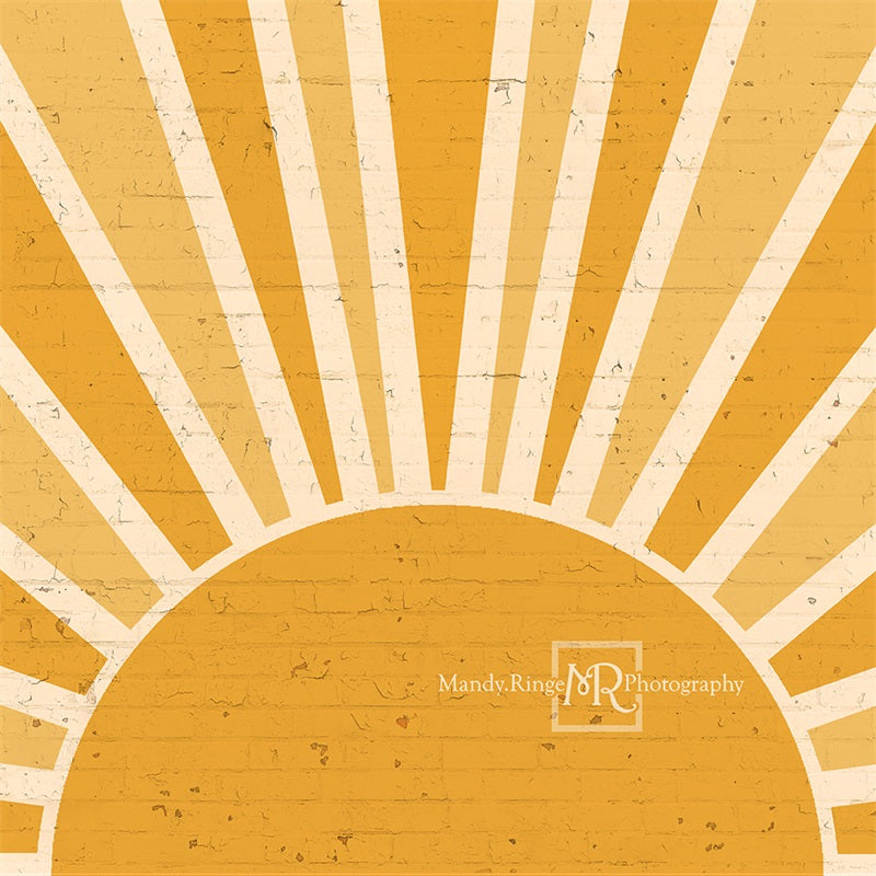 Kate You are my Sunshine Brick Wall Backdrop Designed by Mandy Ringe Photography -UK