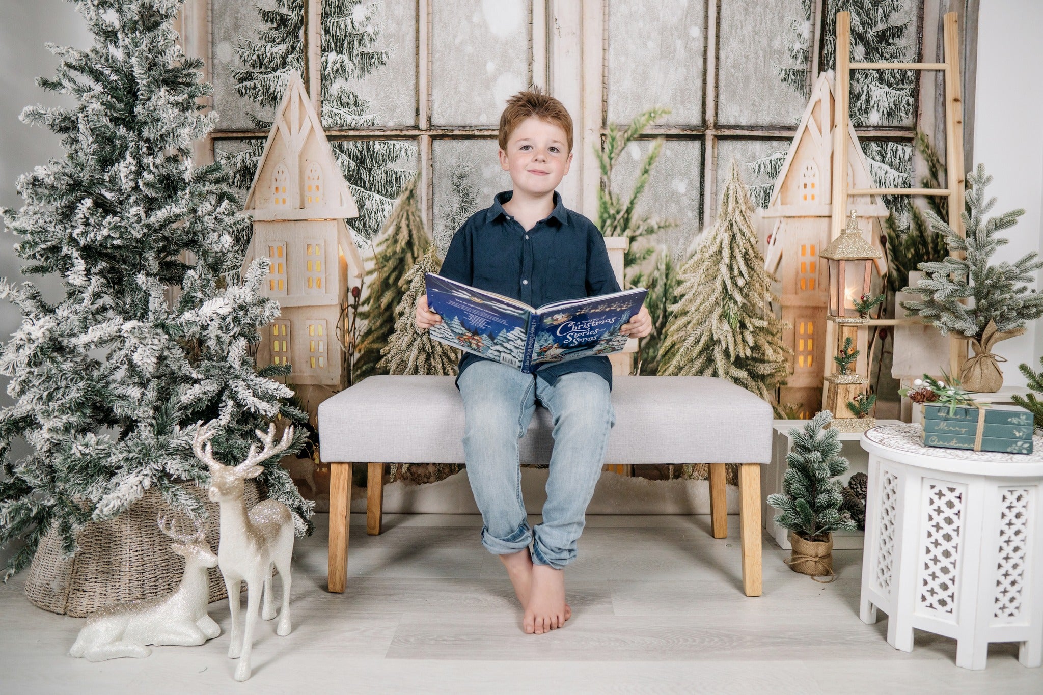 Kate Winter Window Christmas Backdrop for Photography -UK