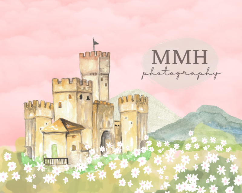 Kate Princess Castle Backdrop Designed by Melissa McCraw-Hummer -UK