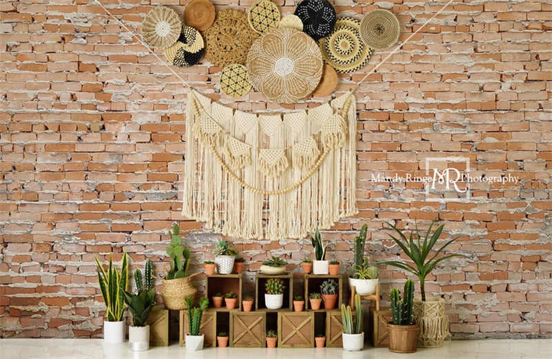Kate Boho Cactus Wall Backdrop Designed by Mandy Ringe Photography -UK