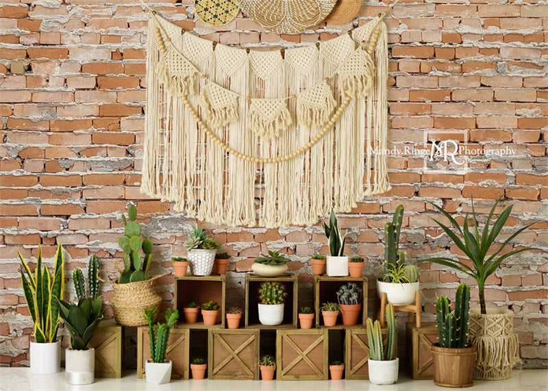 Kate Boho Cactus Wall Backdrop Designed by Mandy Ringe Photography -UK