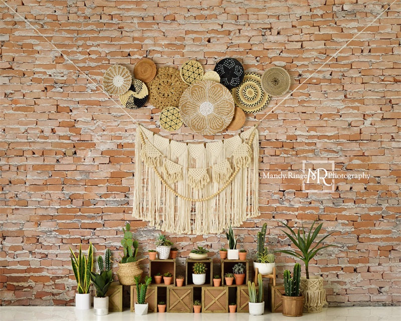 Kate Boho Cactus Wall Backdrop Designed by Mandy Ringe Photography -UK