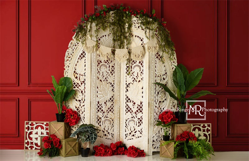 Kate Valentine's Screen with Red Wall Backdrop Designed by Mandy Ringe Photography -UK